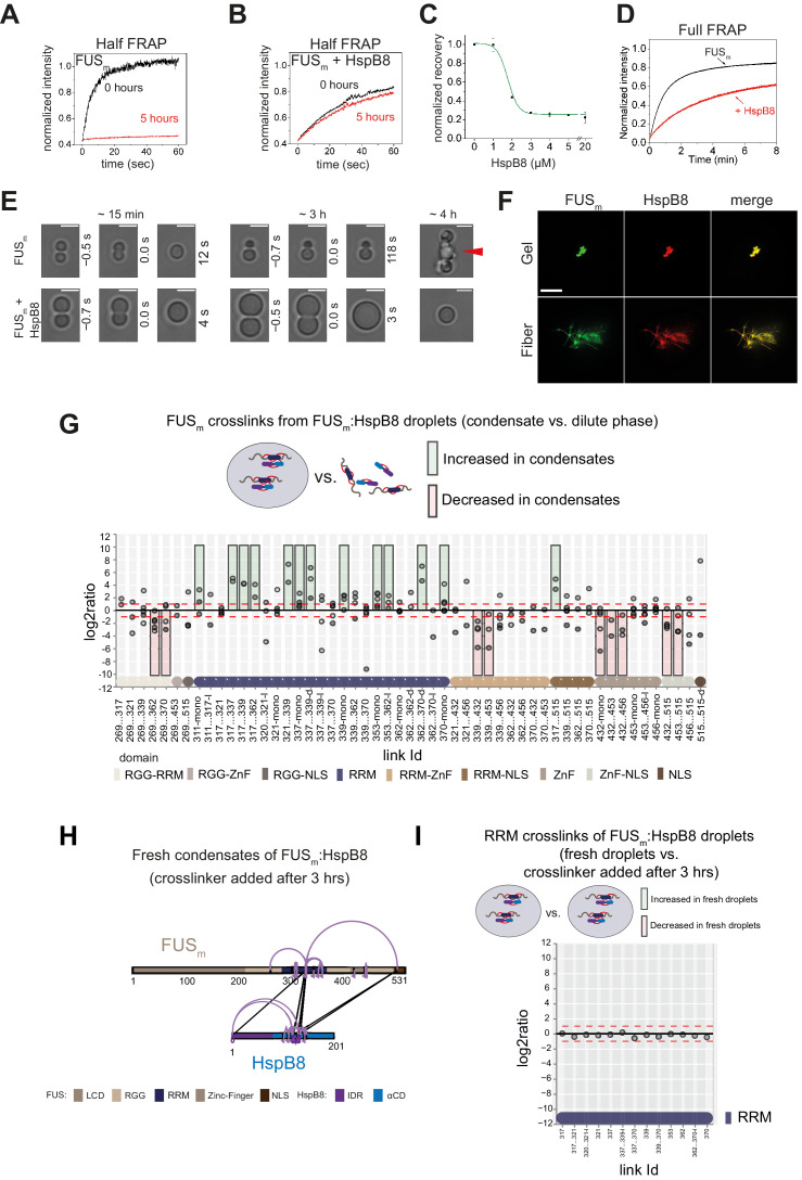 Figure 3—figure supplement 1.