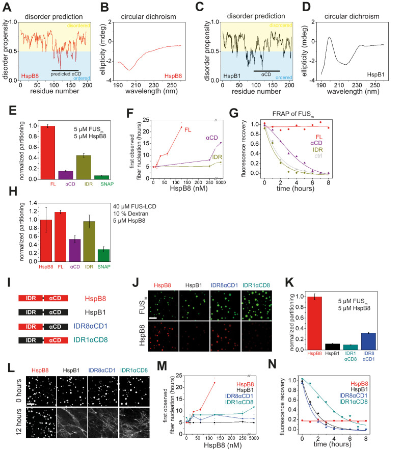 Figure 4—figure supplement 1.