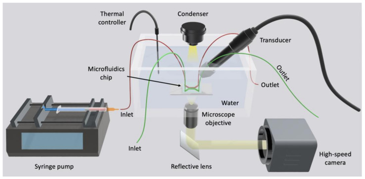 Figure 13