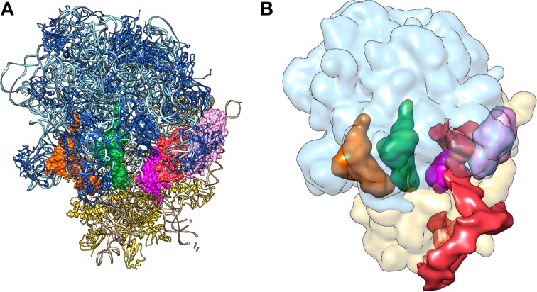 Figure 9