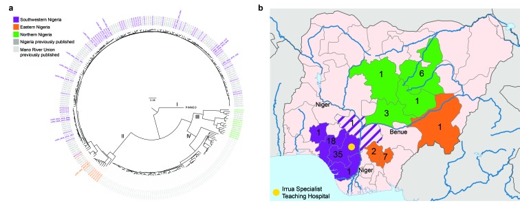 Figure 2. Distribution of Lassa virus genetic diversity in Nigeria. 