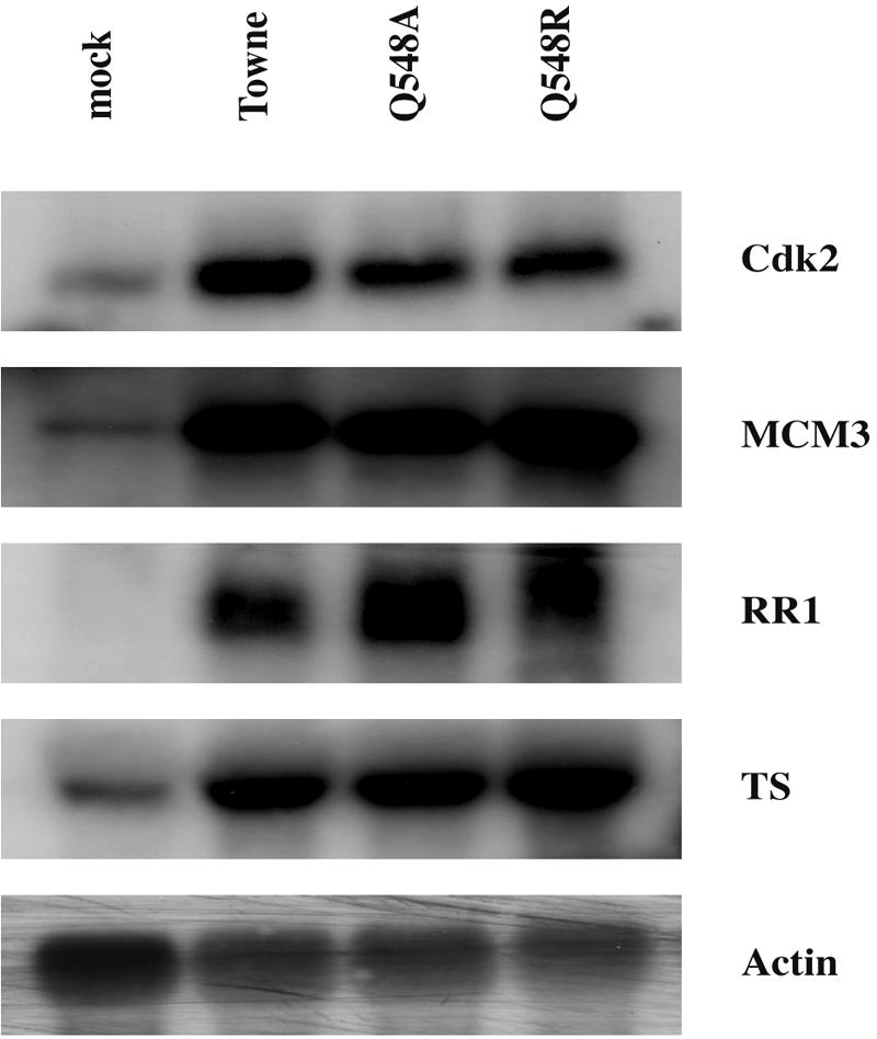 FIG. 8.