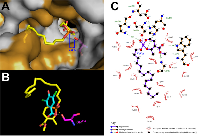 Figure 4