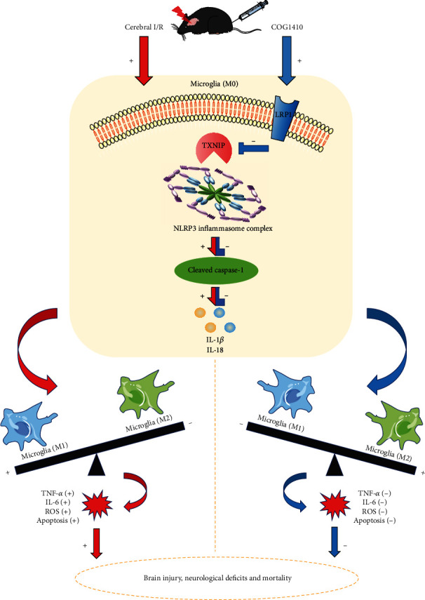 Figure 11