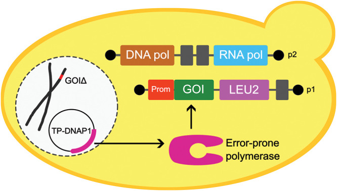 Figure 2.