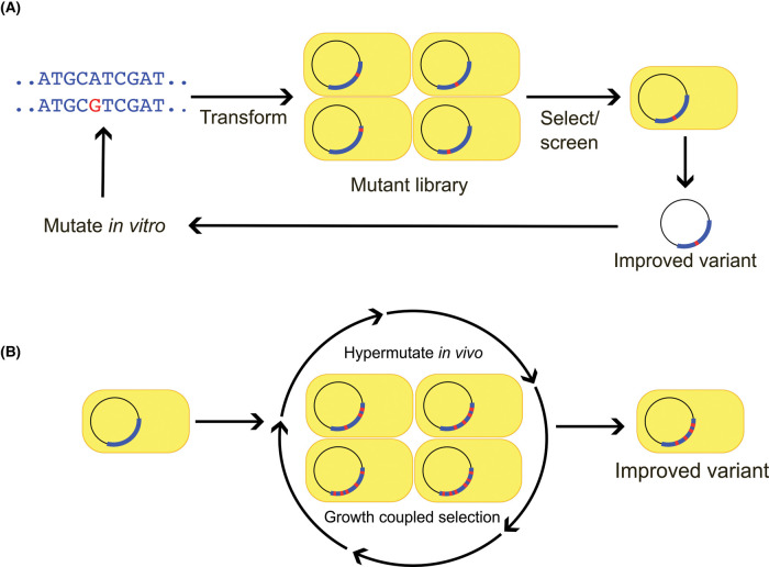 Figure 1.