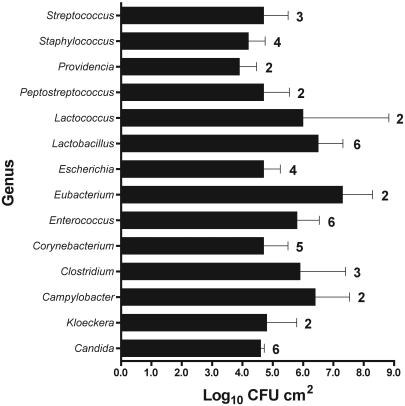 FIG. 2.