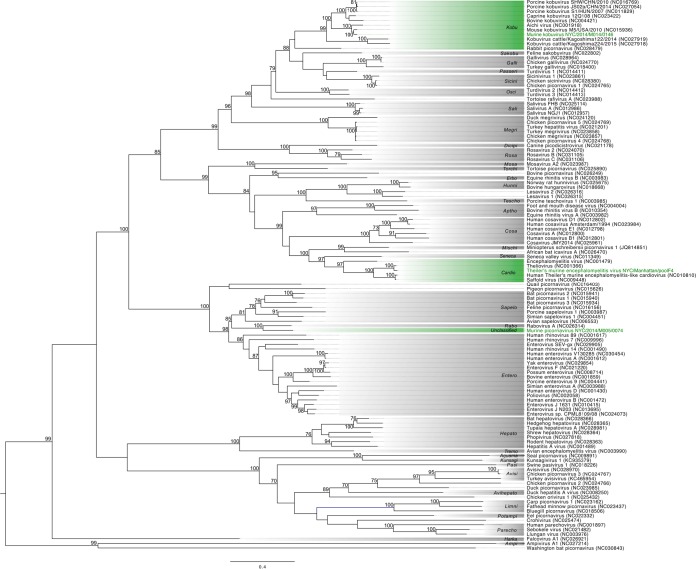 FIG 3 