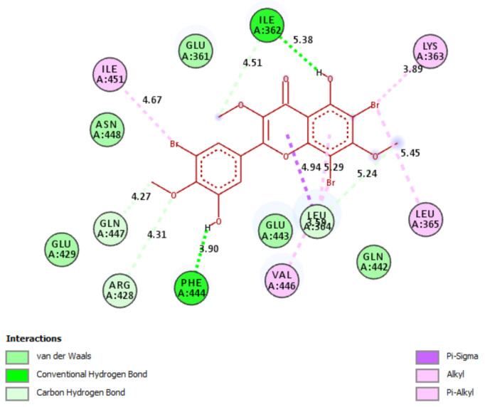 Figure 9