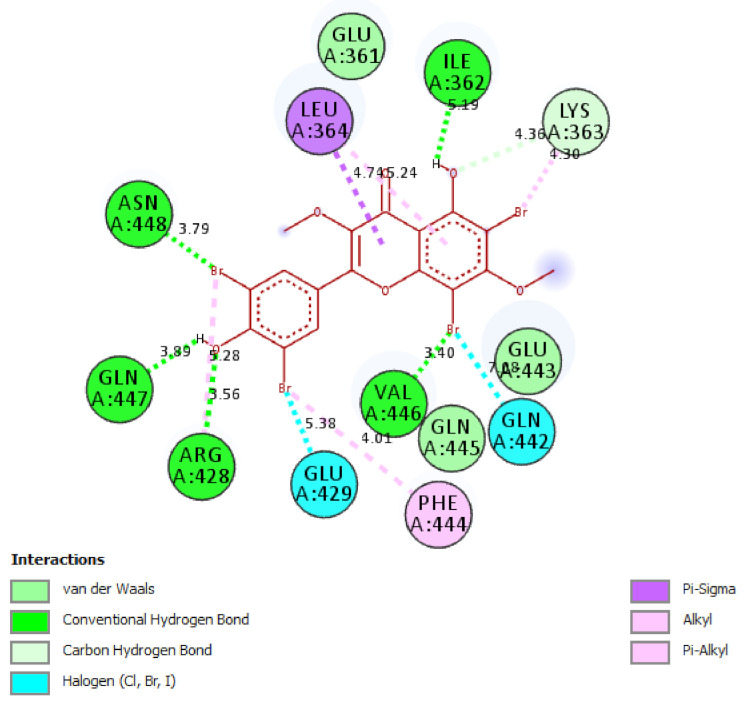 Figure 5