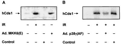 FIG. 6