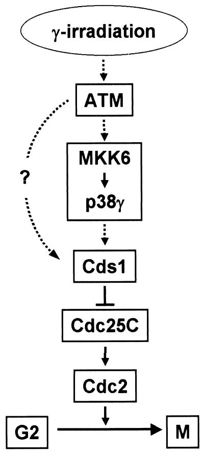 FIG. 10