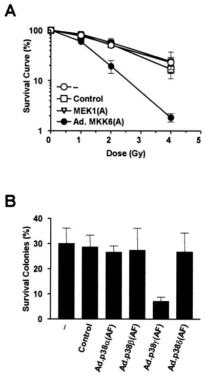 FIG. 9