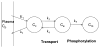 Fig. 14