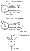 Fig. 16
