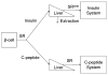 Fig. 17