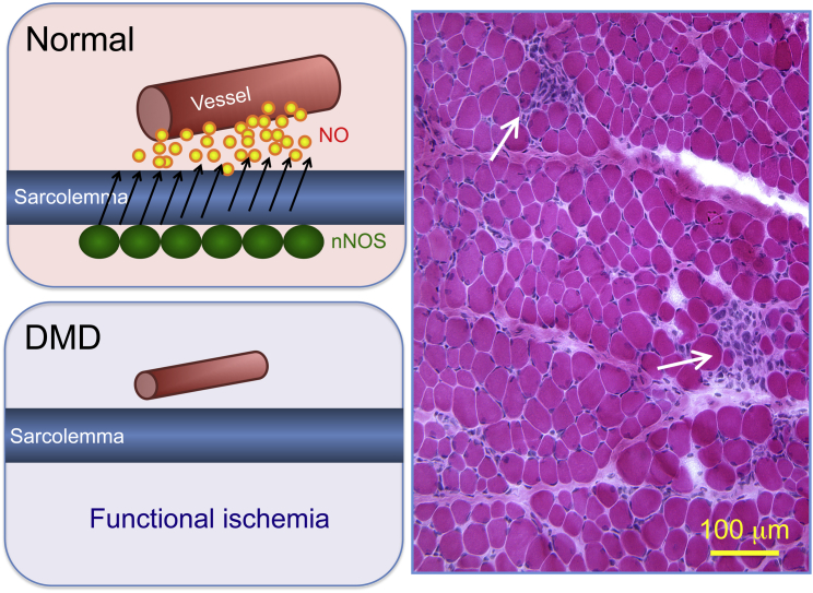 Figure 6