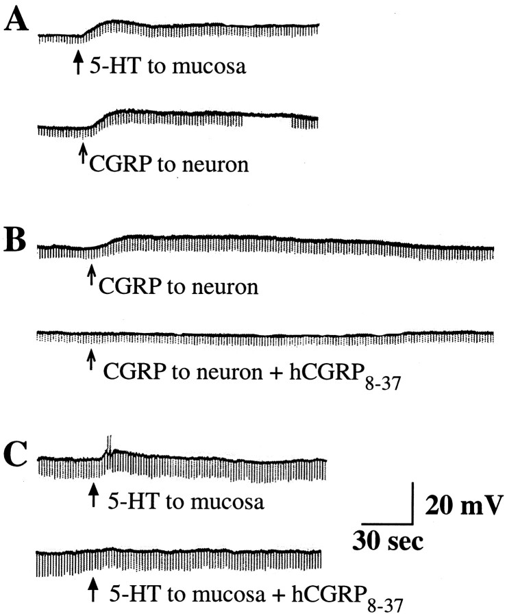 Fig. 10.