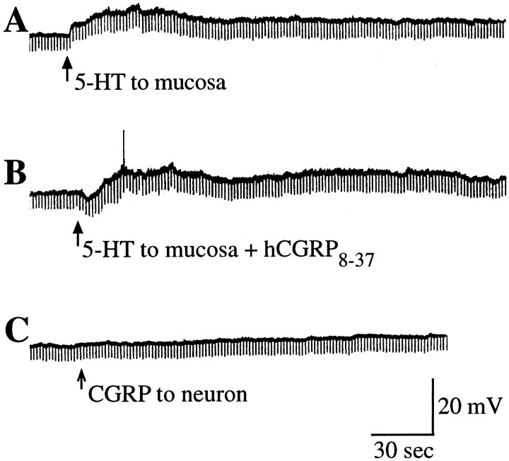 Fig. 11.