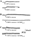 Fig. 10.