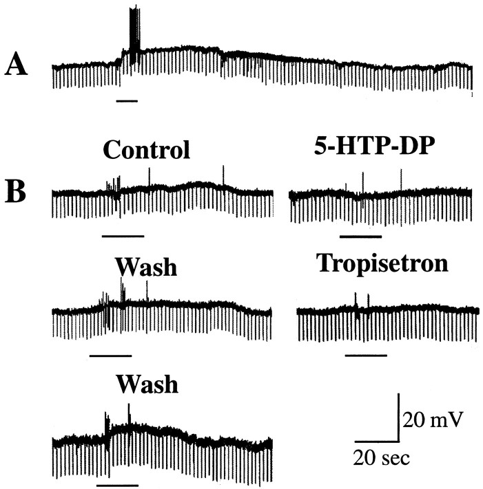 Fig. 9.