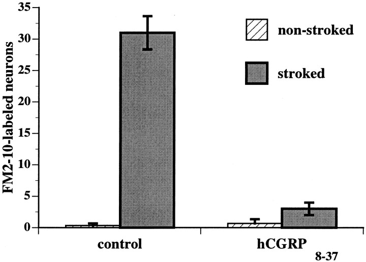 Fig. 12.