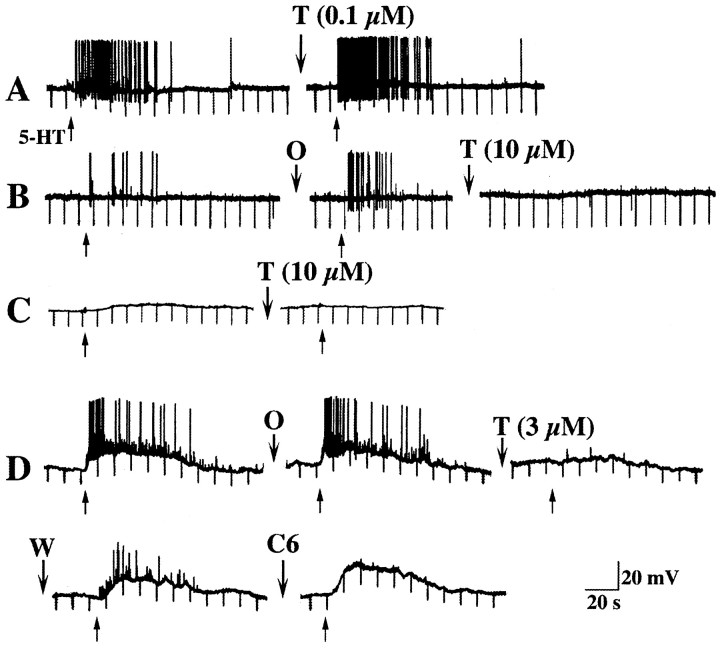 Fig. 8.