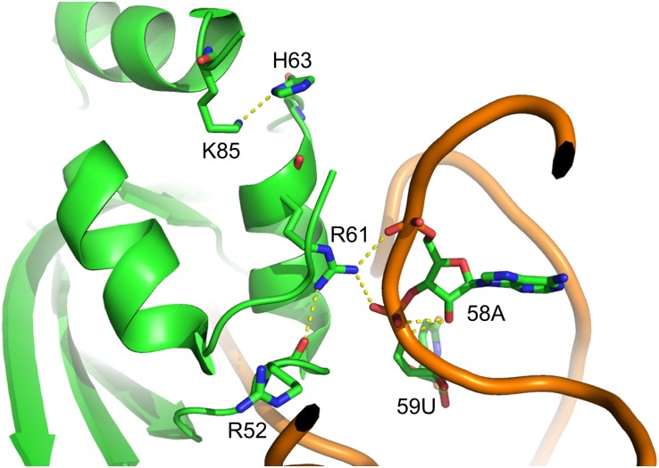 FIGURE 2