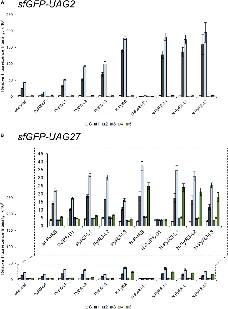 FIGURE 4