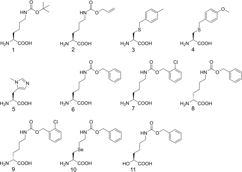 SCHEME 1