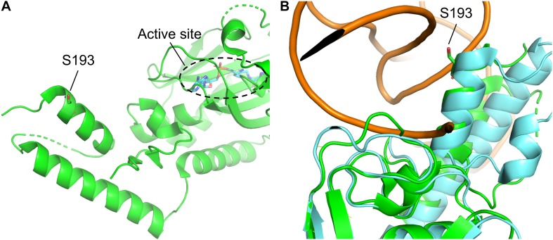 FIGURE 3