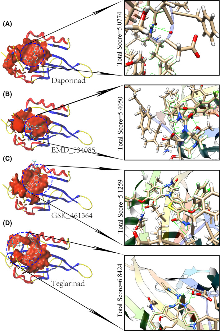 Fig. 8