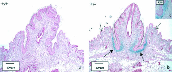 FIG. 6.