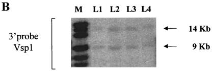 FIG. 1.