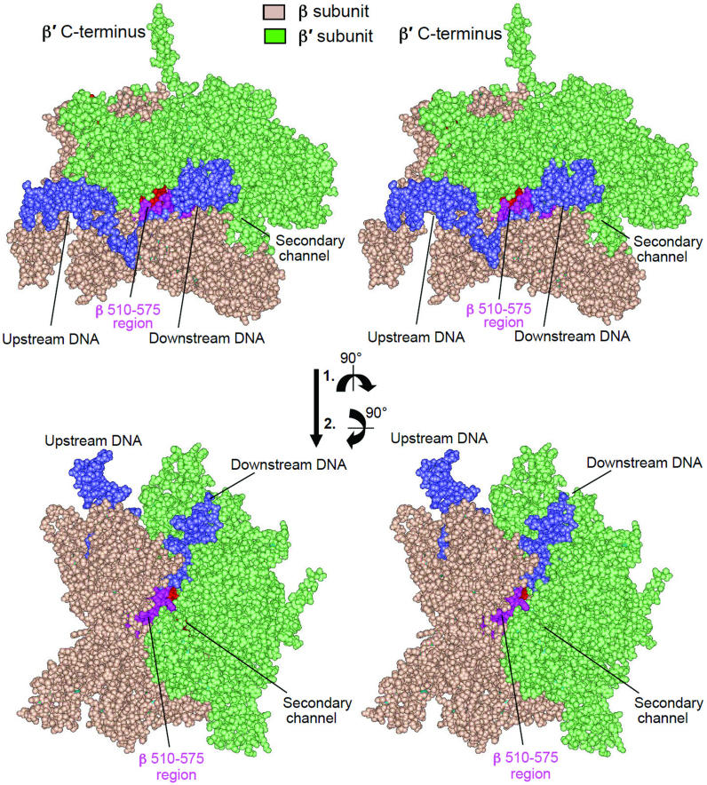 Figure 6.