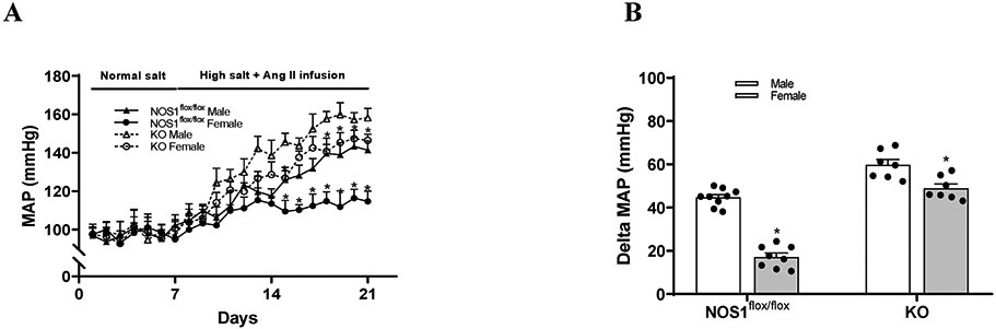 Figure 5.