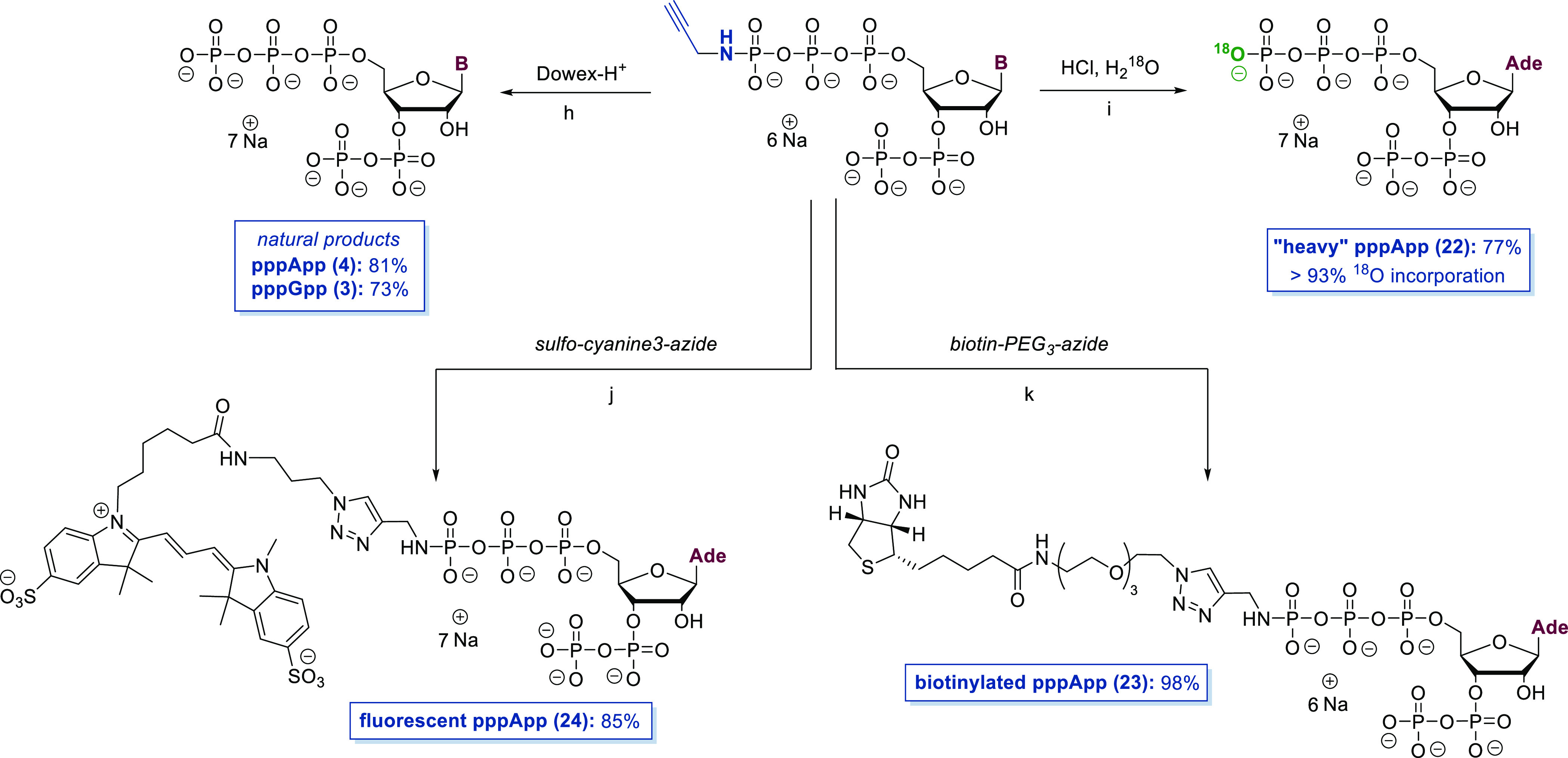 Scheme 3