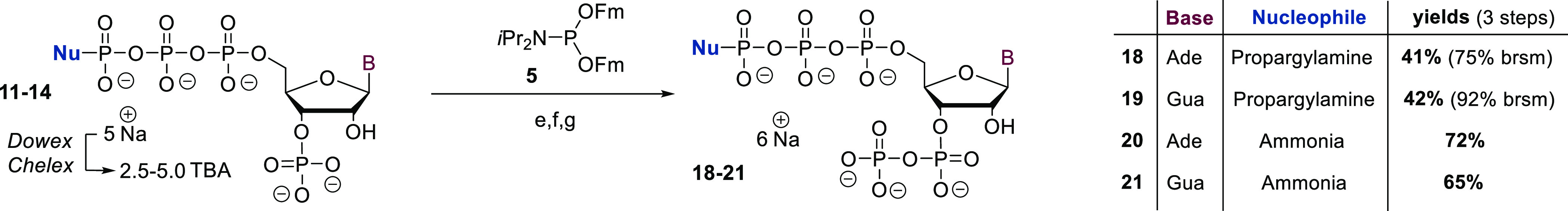 Scheme 2