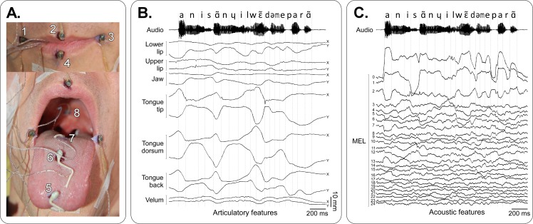 Fig 2