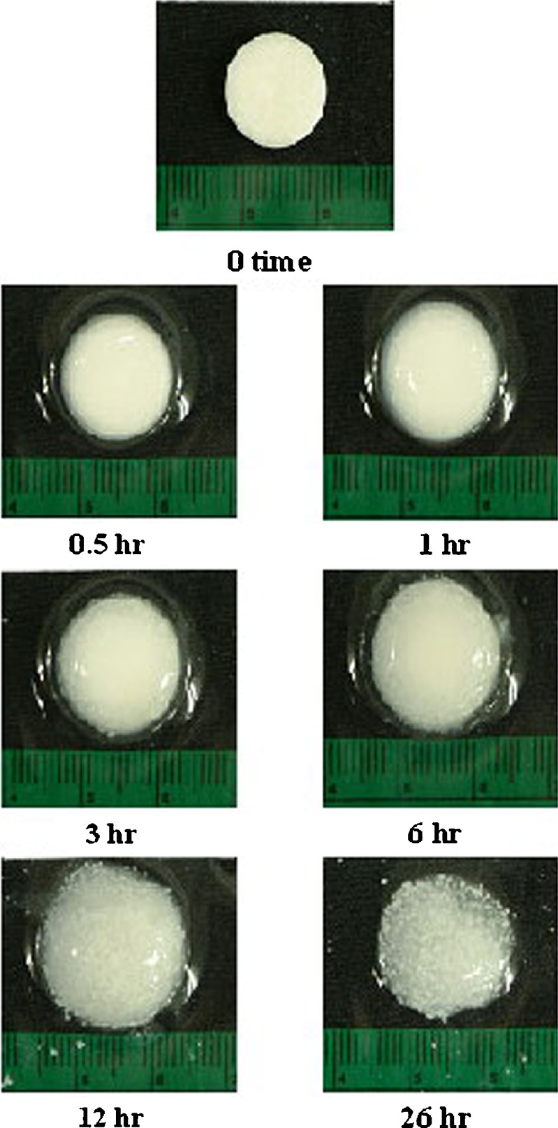 Fig. 7