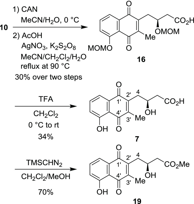 Scheme 6