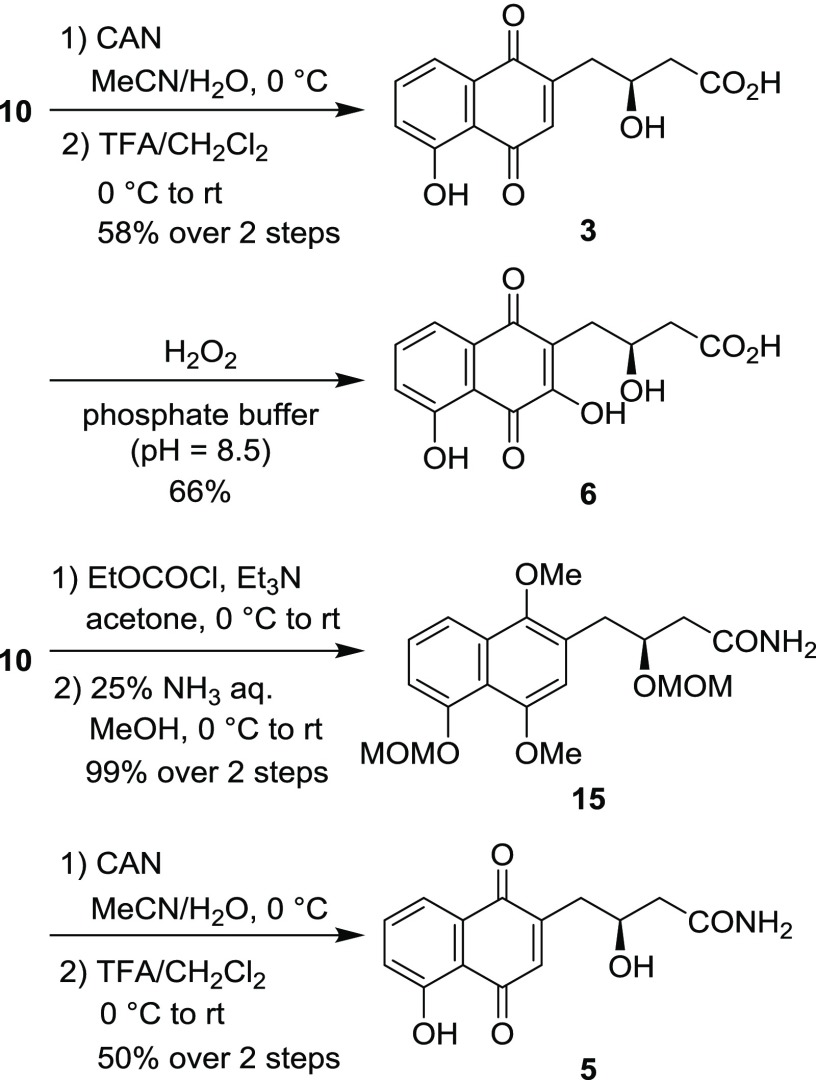 Scheme 5