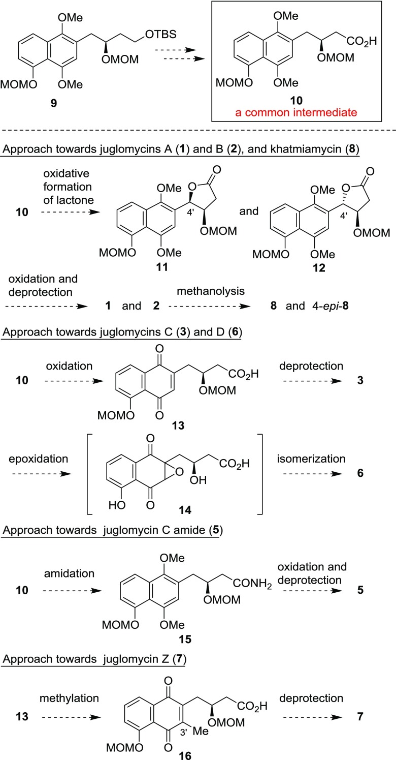 Scheme 1