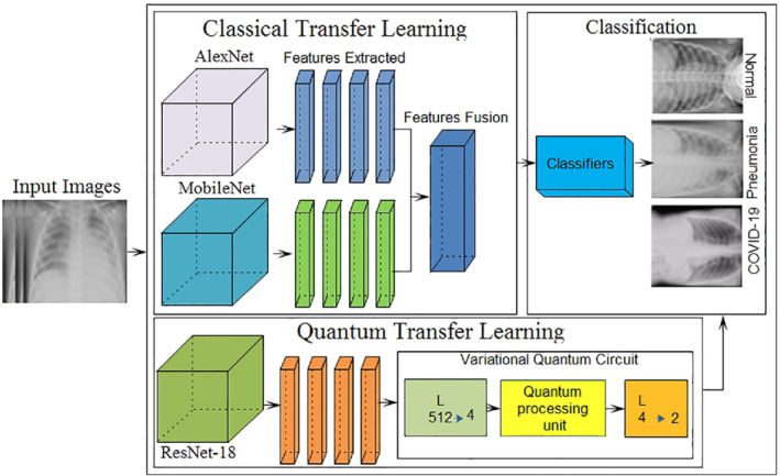 CPE-6434-FIG-0001-c