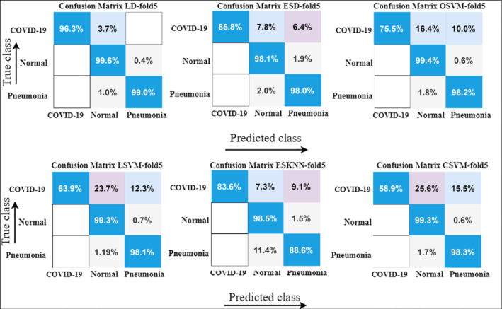 CPE-6434-FIG-0007-c