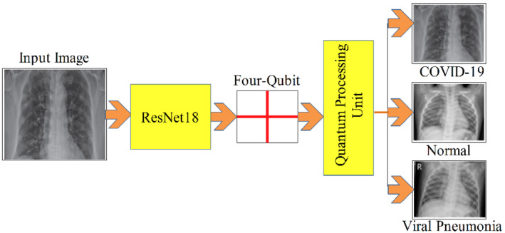 CPE-6434-FIG-0005-c