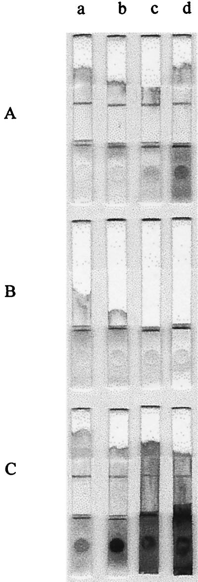 FIG. 6