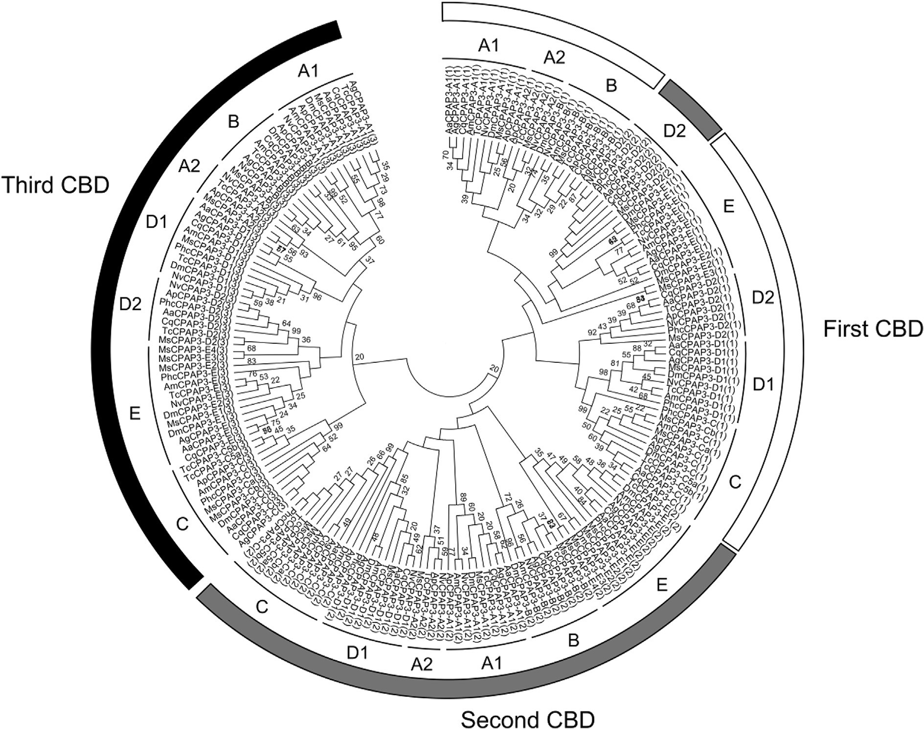 Fig. 5.