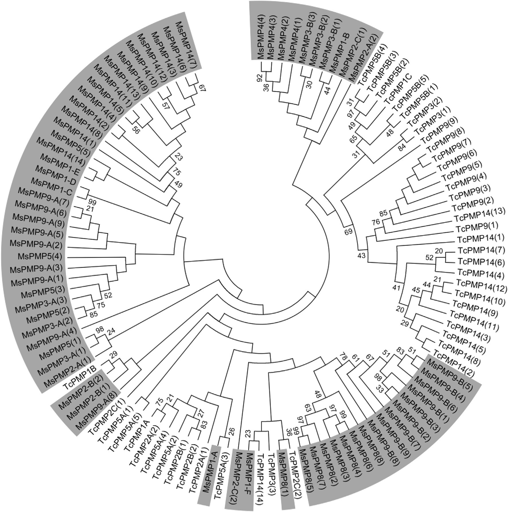 Fig. 6.