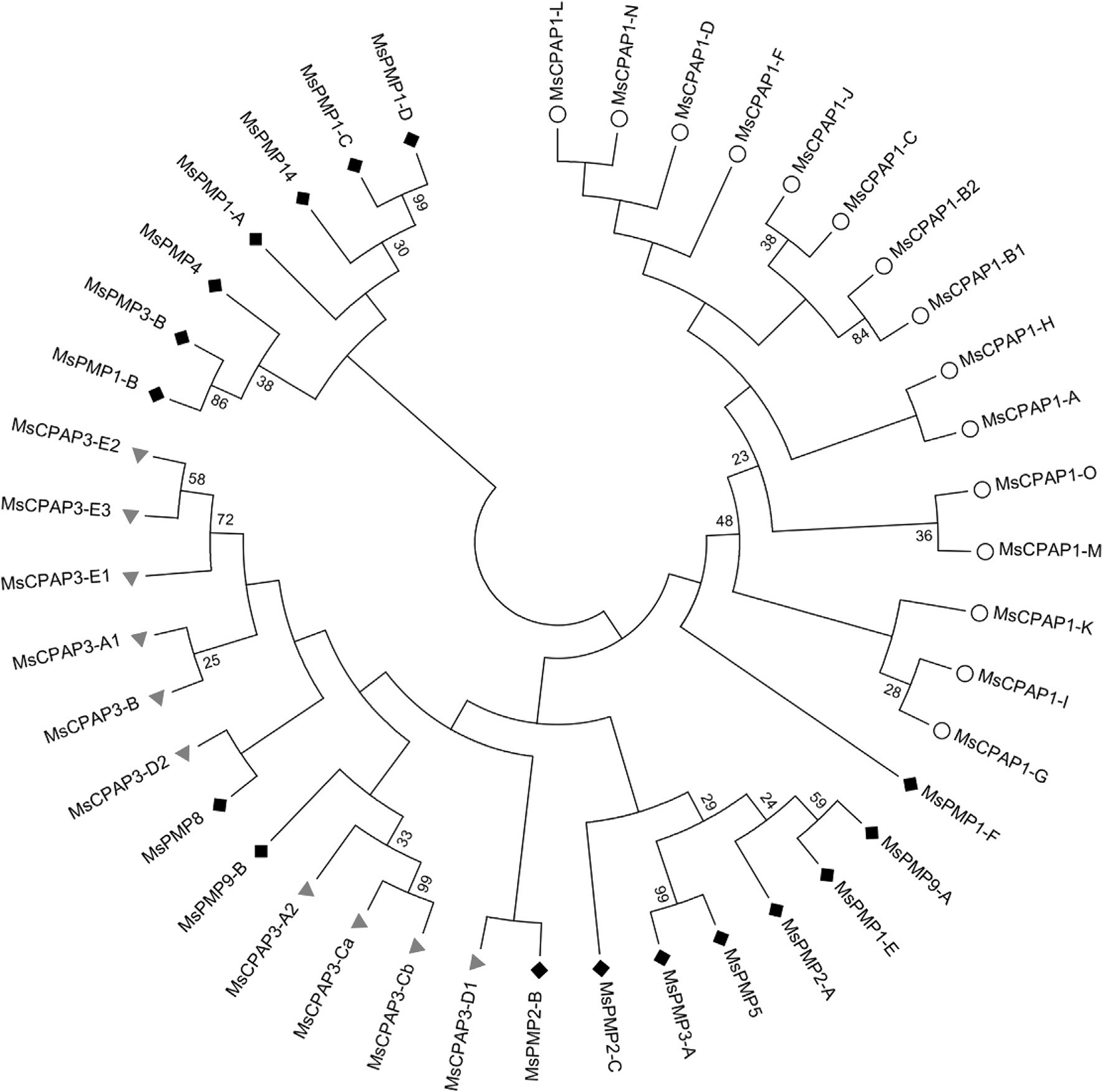 Fig. 9.